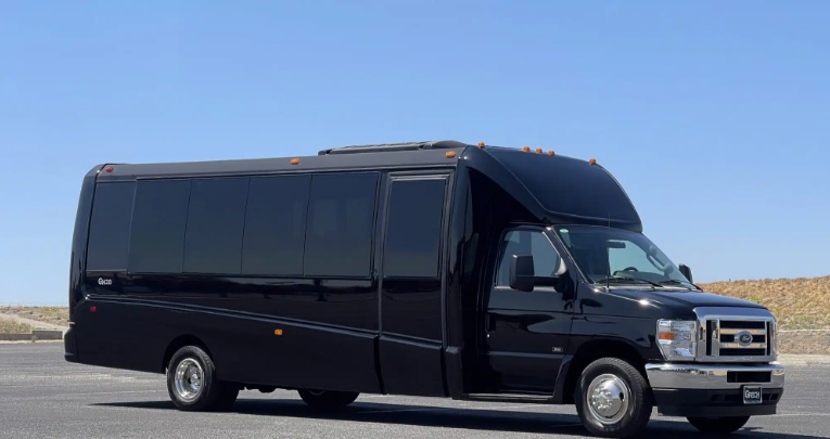 Luxury Mini Buses